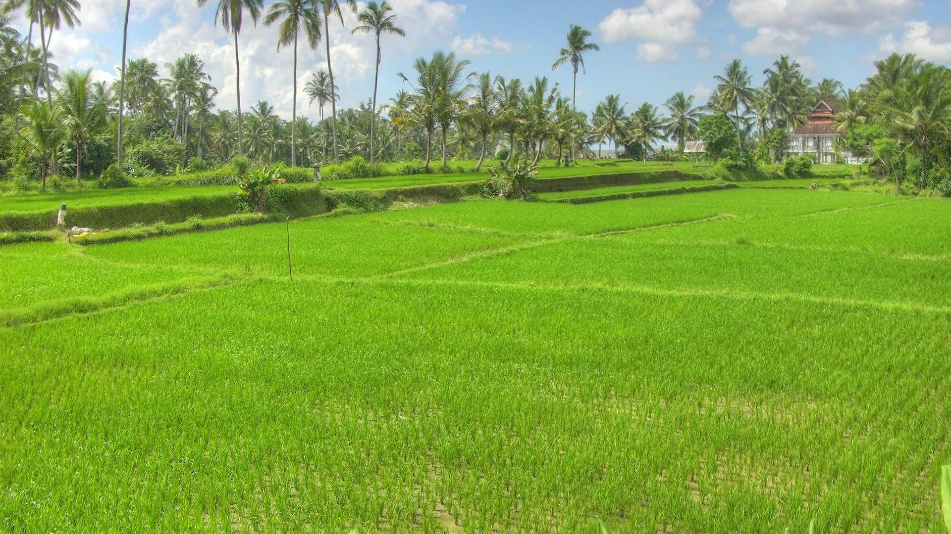 Villa Sabandari Ubud
