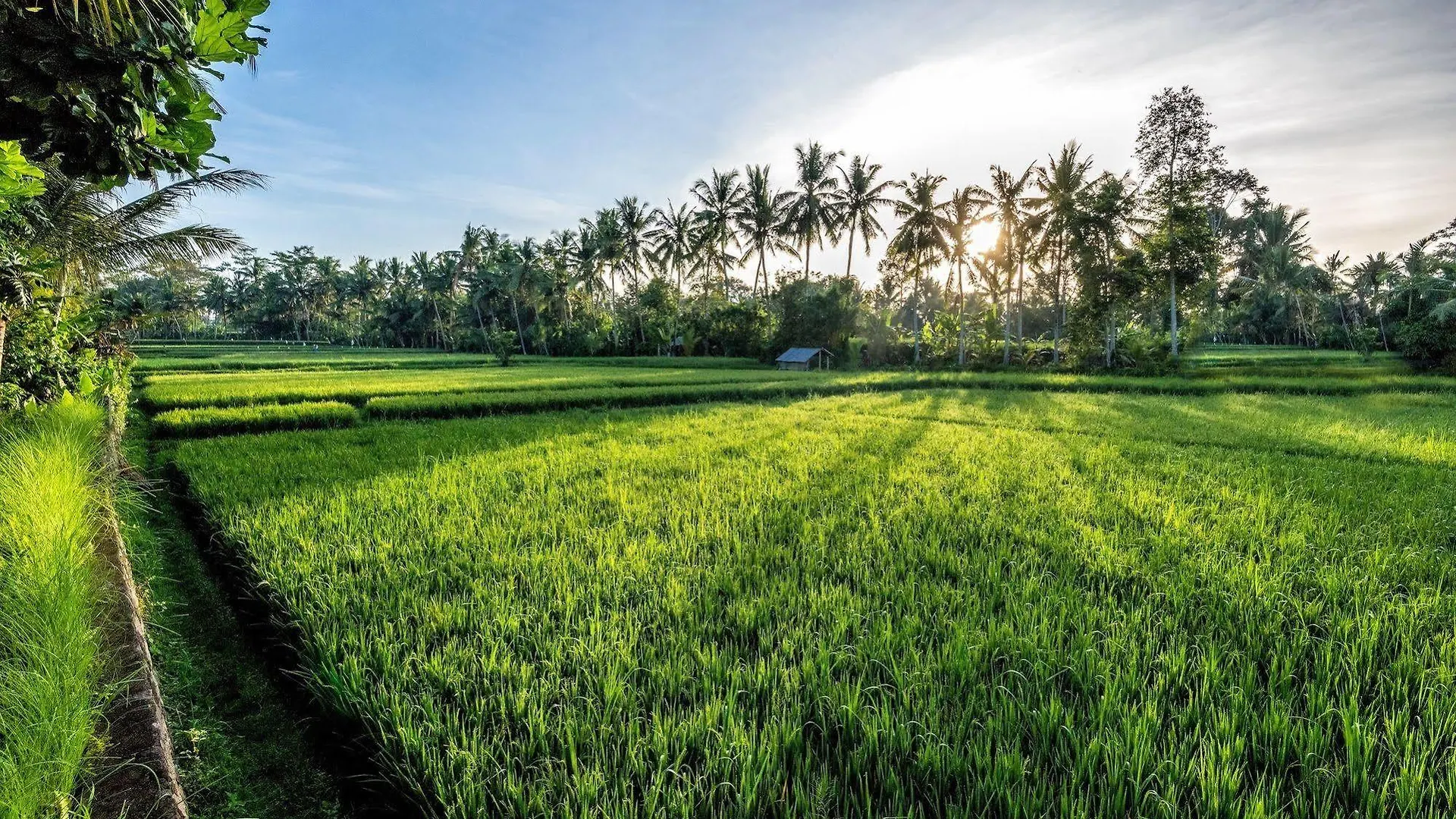 Villa Sabandari Ubud